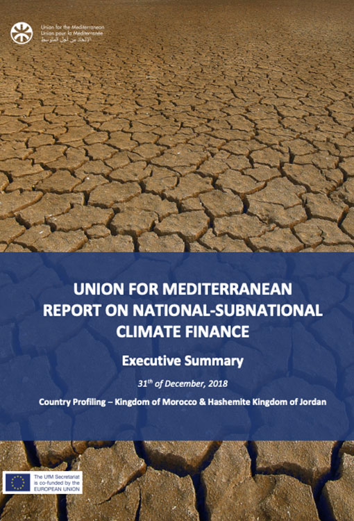 Report on National-Subnational Climate Finance - Union for the ...