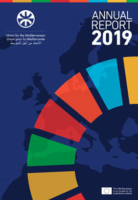 UfM Annual Report 2019