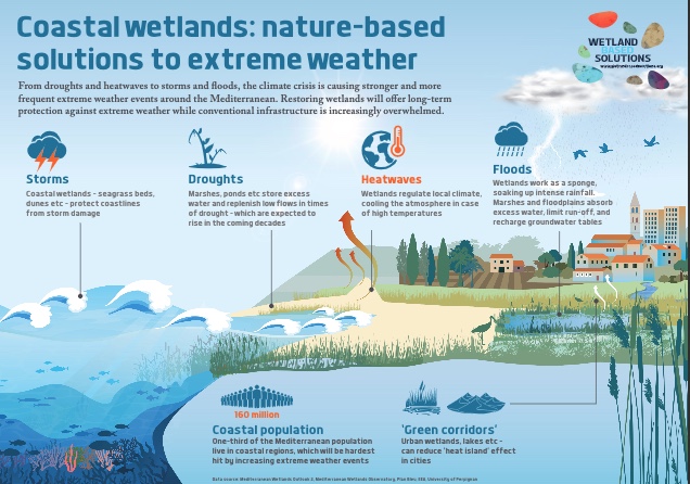 Wetlands-Based Solutions