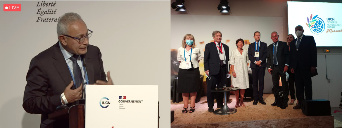 Ufm Secretary General Highlights Mediterranean Efforts In The Fight